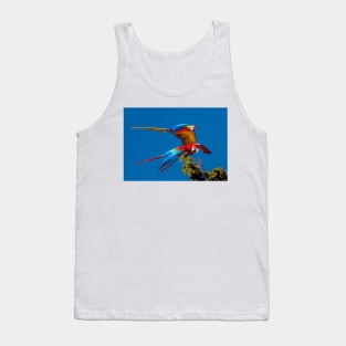 Macaws in flight Tank Top